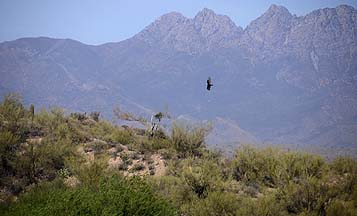 Saguaro Lake, April 19, 2012